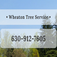 AskTwena online directory Wheaton Tree Removal in Wheaton 