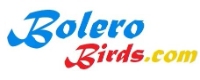 AskTwena online directory Bolero Birds in Las Vegas 