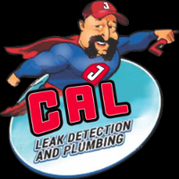 Cal Leak Detection