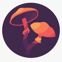 AskTwena online directory Magic Mushrooms Shop in  