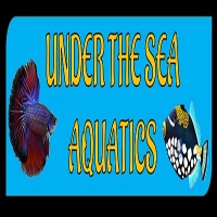 AskTwena online directory Under the Sea Aquatics | Fish Store | Fish Tanks | Freshwater & Saltwater Fish in Rohnert Park, CA 