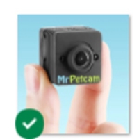 AskTwena online directory Mr Petcam in  