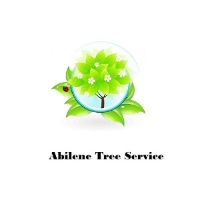 AskTwena online directory Abilene Tree Service in Abilene 