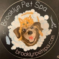 AskTwena online directory Brooklyn Pet Spa in Brooklyn, NY 