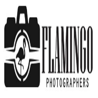 Flamingo Photographers
