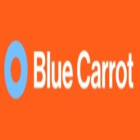 Blue Carrot | Digital Marketing Agency