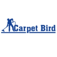 Carpet bird