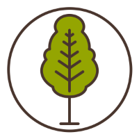AURORA TREE REMOVAL SERVICE