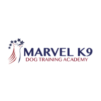 Marvel K9 Dog Training Academy