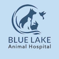 AskTwena online directory Blue Lake Animal Hospital in Caledonia 