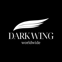 Dark Wing Inflight