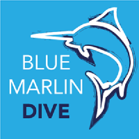 Blue Marlin Dive