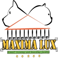 Pansion za pse MAXIMA LUX Beograd