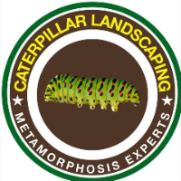 AskTwena online directory Caterpillar Landscaping in Orlando, FL 