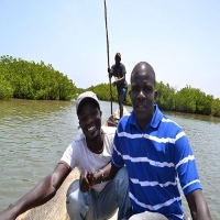 AskTwena online directory Andaando Travel Tours of Senegal & Gambia in  
