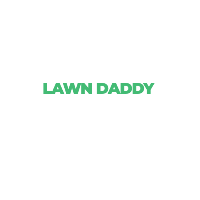 Lawn Daddy