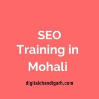 SEO Training Institute in Mohali - Digital Chandigarh