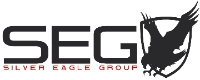 AskTwena online directory Silver Eagle Group in Ashburn, VA 