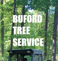 AskTwena online directory Buford Tree Service in Buford, GA 