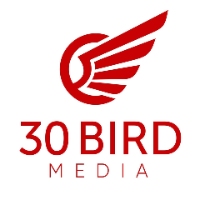 AskTwena online directory 30 Bird Media in Rochester 