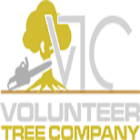 Volunteer Tree Company