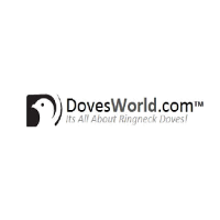 AskTwena online directory DovesWorld.com™ in  