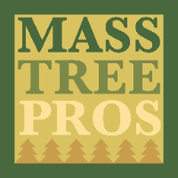 Mass Tree Pros