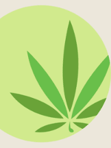 AskTwena online directory : Chamba Cannabis Co in Ontario 