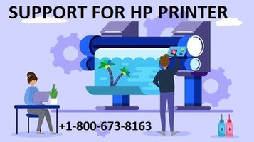 Special help for hp printers support phone number +1-800-673-8163