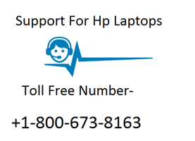 Hp pavilion support number How to Remove Hard Drive from Laptop?