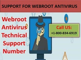 What things will you get from Support for Webroot Antivirus USA?