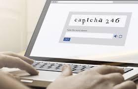 Protect Your Website with 2 Captivate Security Methods